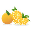 © arthierry - group orange fruit with shape in isolate white background vector illustration.