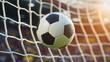 © WiFi - A soccer ball flies into the goal.