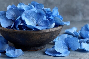 Fototapete - Delicate blue flower petals arranged in a rustic bowl on a textured surface