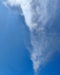 Wall Mural - blue sky white cloud. with a pure blue sky as the backdrop, various forms of cumulus and cirrus clou
