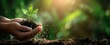 © Studio Nova - The hands nurturing a young plant in rich soil against a natural background.