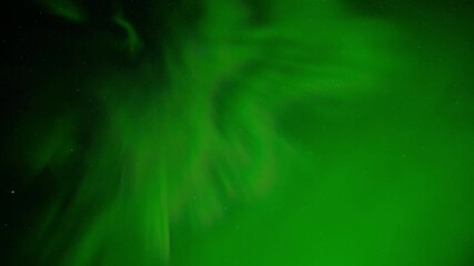 Wall Mural - dark starry night with sky filled with bright green aurora northern lights radiating and filling the