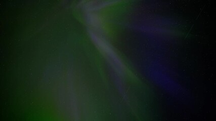 Wall Mural - angel wings shaped aurora northern lights with shades of green, blue and purple fill the sky with st