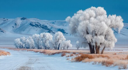 Aufkleber - Snowy Road Leading to Frozen Trees and Distant Mountains Under Clear Blue Sky, Ideal for Winter Travel and Seasonal Getaways : Generative AI