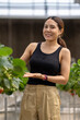 © ultramansk - A woman enjoys picking fresh strawberries in a modern greenhouse. Sustainable farming ensures high-quality, organic fruit production for healthy eating and eco friendly agriculture practices.