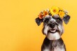 © A - Isolated dark black background, copy space, digital ads concept. Professional studio picture. Cute baby dog portuguese water dog wearing untamed flower crown on its head - symbol of sunny sunn.