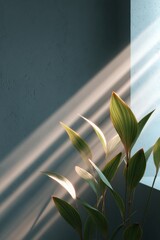Poster - Minimalist Green Plant with Sunlight Rays Streaming Through Window on Blue Wall - Modern Eco Aesthetic and Wellness Interior Trend
