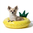 © Nataliia - Tiny dog serenely perched on pineapple floaty, exuding tropical whimsy; ideal for National Pet Day, luau festivity vibes