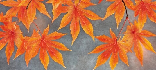 Wall Mural - the sunlight illuminates the vibrant autumn leaves, creating a beautiful background pattern