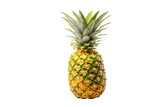A single ripe pineapple with a vibrant yellow and green color, isolated on a transparent background. background removed