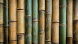 Bamboo Forest Texture: Capturing the natural elegance of the bamboo forest, a detailed shot unveils the varied textures and colors of bamboo stalks, creating a seamless background of nature's design.