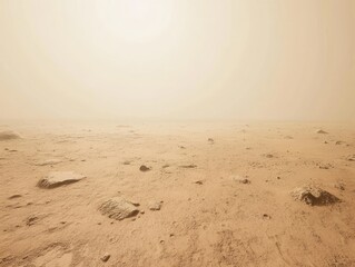 Wall Mural - Desert landscape, dusty plain