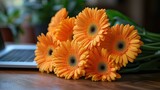Bright orange gerbera daisies on a wooden desk next to a laptop