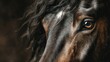 © Georg - Close-up view of a horse highlighting its mane and expressive eye in warm lighting