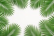 © Jafree - Tropical leaf frame with green palm leaves isolated on white background. concept of nature's simplicity, natural decor, greenery in summer design, copy space
