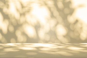 Poster - Wall interior background, studio and backdrops show products. with leaf shadow from window color beige and white. background for text insertion and presentation of product	