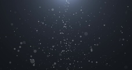 Wall Mural - Slowly falling, swirling, and sparkling bokeh particles in white light against a dark background. Abstract snow.