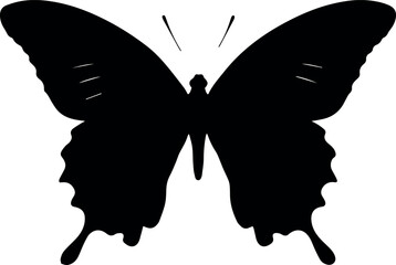 Wall Mural - elegant black butterfly silhouette graphic design illustration vector art dark icon wings image shap