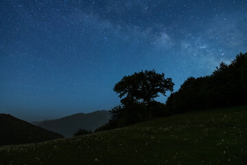 Wall Mural - beautiful night landscape, bright milky way galaxy on the starry sky., over the trees and mountains.