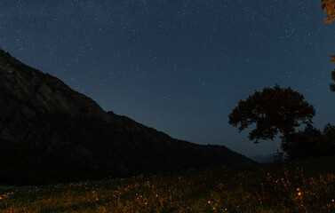 Wall Mural - beautiful night landscape, bright milky way galaxy on the starry sky., over the trees and mountains.
