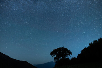 Wall Mural - beautiful night landscape, bright milky way galaxy on the starry sky., over the trees and mountains.