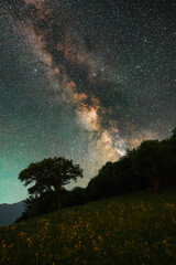 Wall Mural - beautiful night landscape, bright milky way galaxy on the starry sky., over the trees and mountains.