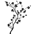 © Alloca Design Studio - a black silhouette of a tree with small flowers on a transparent background black, branch, flower, silhouette, small, tree , Generative art.