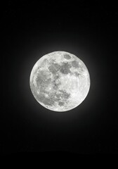 Wall Mural - majestic full moon in night sky - a breathtaking view of a full moon, brightly lit against a dark ni