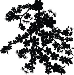 Wall Mural - silhouette of tree blossoming branches on white
