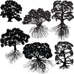 Wall Mural - six trees with roots on white