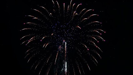 Wall Mural - fireworks in the sky with a black background