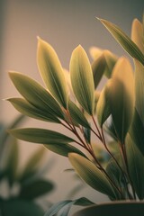 Aufkleber - Close-Up of Green Leaves in Soft Light, Symbolizing Growth and Environmental Awareness in a Botanical Study : Generative AI
