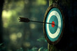 © tracy - A wooden target with a red bullseye and a single arrow pointing to it. Concept of focus and determination, as the arrow is the only thing that is not obscured by the surrounding foliage