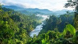 Lush green landscape with tropical rainforest and river on a foggy morning