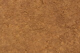 Brown dirt ground is covered in small granular clods of earth forming an earthy surface