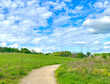 © Caroline - path through green field and blue sky