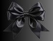 © MDRONI - Fancy Black Satin Bow  Isolated Transparent PNG