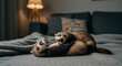 © dhorido studio - Playful Ferrets Interacting on Bed in Indoor Setting