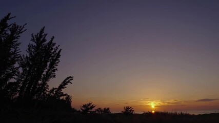 Aufkleber - Sunset over the ocean creates a serene atmosphere with silhouetted trees against the horizon