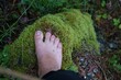 © Sergei - Single bare human foot, connecting mood, resting on green moss, against a dark forest floor