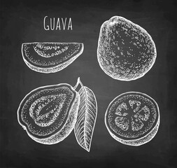 Wall Mural - guava chalk sketch