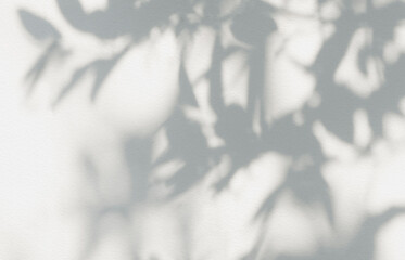 Aufkleber - Leaf shadow and light grey background. Nature tropical leaves plant tree branch shade sunshine on wall. Sunlight on white wall texture for background wallpaper, shadows overlay effect foliage mockup