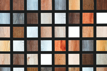 Leinwandbilder - Various wood samples arranged in a grid. Samples of different types of wood showing their unique textures and colors. Wood texture background.
