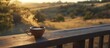 © Yeti - Warm coffee on a porch at sunrise