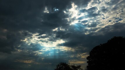 Wall Mural - dark contrasting cloudscape with light rays shining down with silhouetted trees. ethereal spiritual 