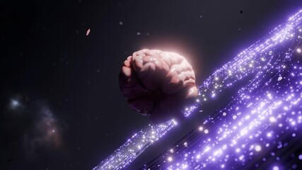 Wall Mural - human brain floating above glowing purple digital surface in dark space. artificial intelligence and