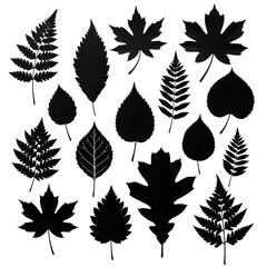 set of autumn leaves silhouettes