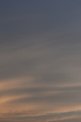 Wall Mural - beautiful golden sky and white cloud background in springtime