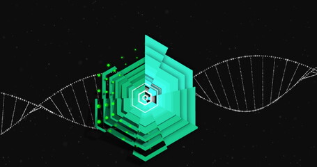 Wall Mural - image of dna strand on black background