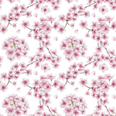  Seamless pattern with sakura flowers. Cherry blossom festival. Small pink flowers on branches. Petals and leaves. Watercolor illustration isolated from background. Hand drawing.